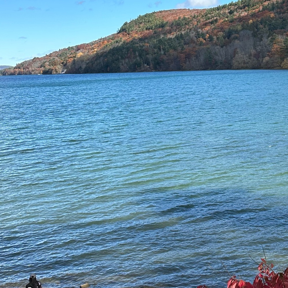 Meet your Posher, Jon